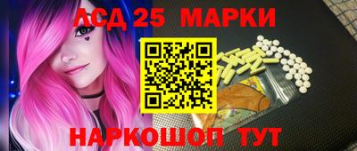 крисы Кулебаки