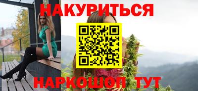 крисы Кулебаки