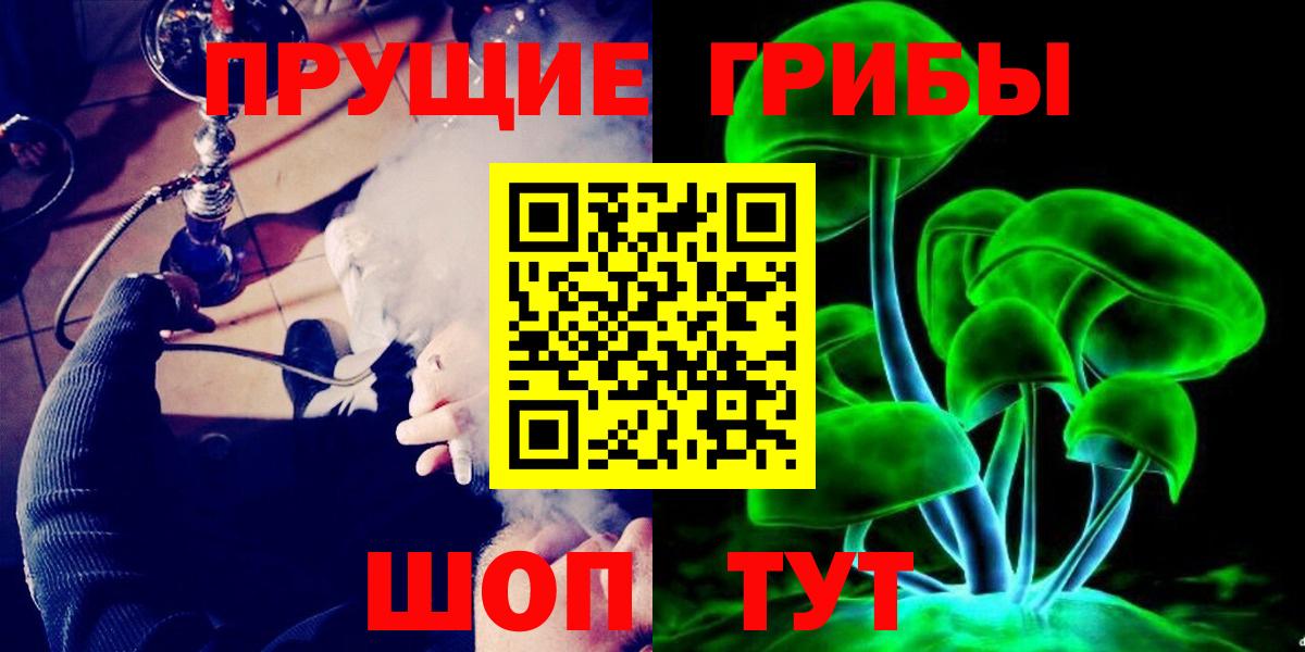Псилоцибиновые грибы GOLDEN TEACHER Грозный