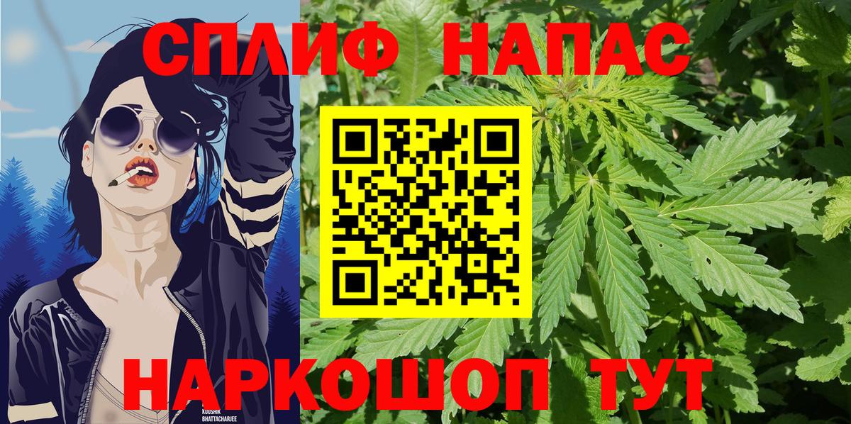 МАРИХУАНА конопля Грозный